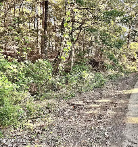 0 Snow Lake Dr, Ashland, MS 38603