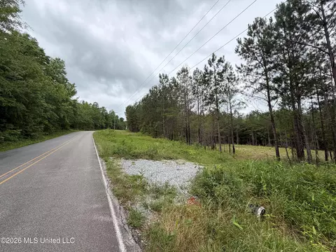 157 Walker Bottom Rd, Meridian, MS 39301