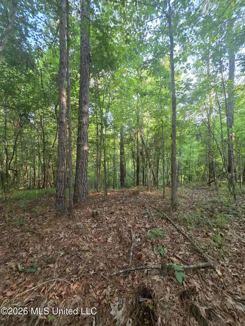 Enterprise Road, Roxie, MS 39661 photo 17