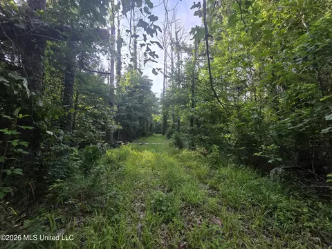 Enterprise Road, Roxie, MS 39661 photo 31