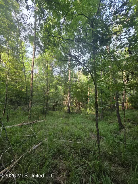 Enterprise Road, Roxie, MS 39661 photo 35