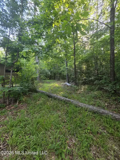 Enterprise Road, Roxie, MS 39661 photo 23