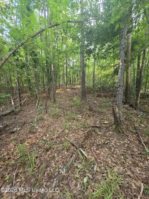Enterprise Road, Roxie, MS 39661 photo 8