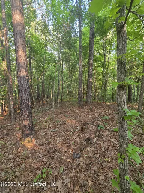 Enterprise Road, Roxie, MS 39661 photo 18