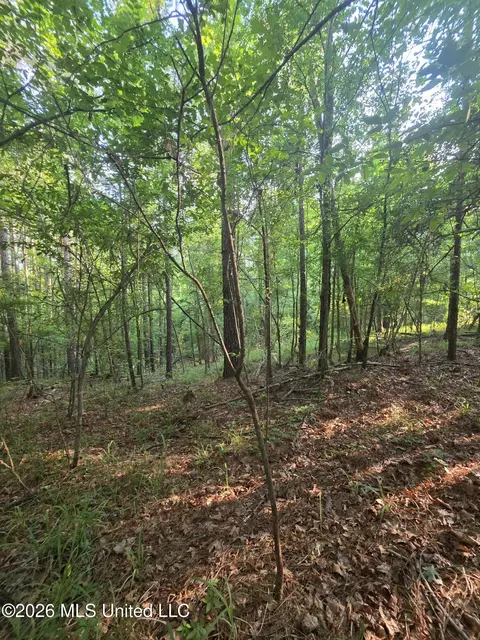 Enterprise Road, Roxie, MS 39661 photo 15