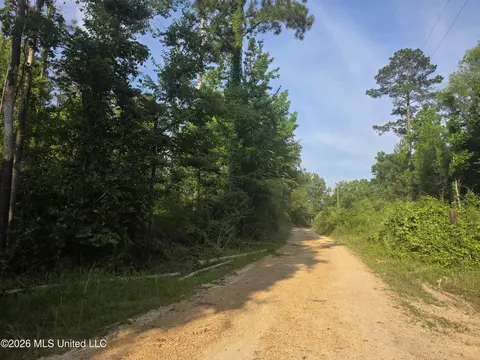 Enterprise Road, Roxie, MS 39661 photo 3