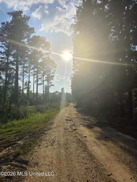 Enterprise Road, Roxie, MS 39661 photo 5