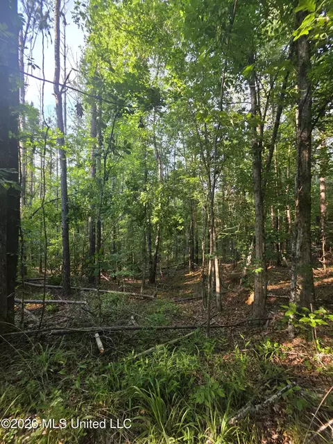 Enterprise Road, Roxie, MS 39661 photo 21