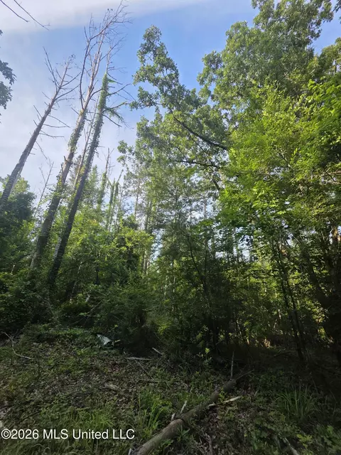 Enterprise Road, Roxie, MS 39661 photo 30