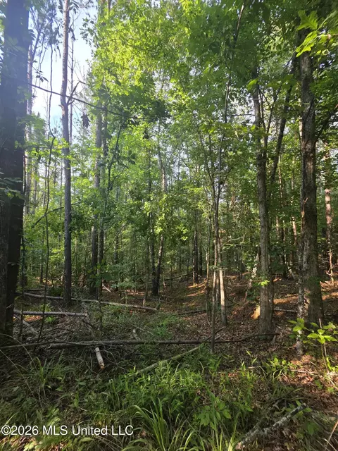 Enterprise Road, Roxie, MS 39661 photo 20