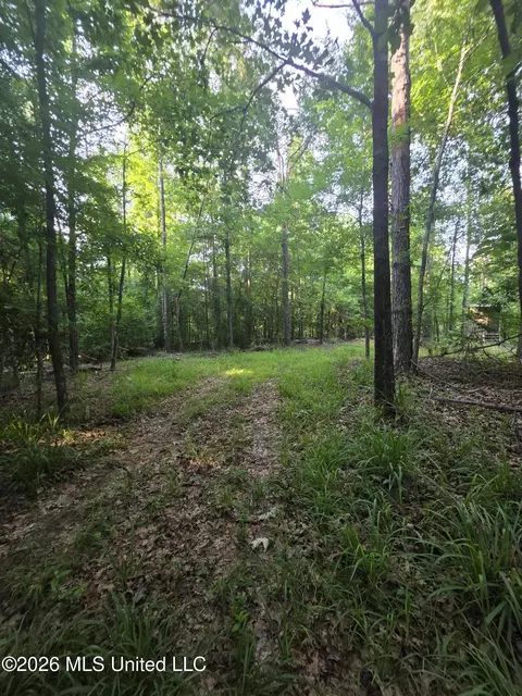 Enterprise Road, Roxie, MS 39661 photo 29