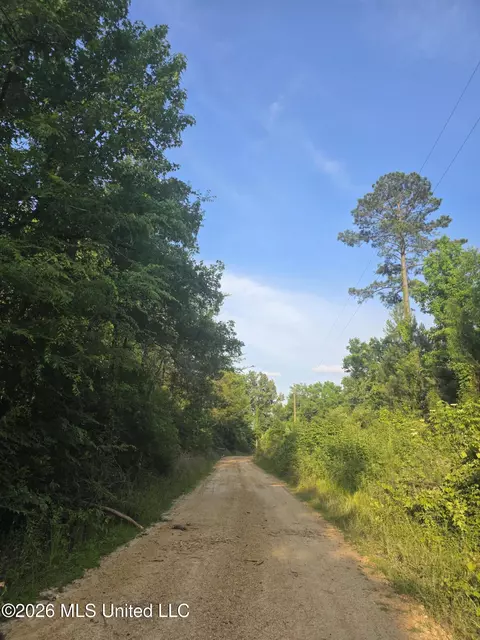 Enterprise Road, Roxie, MS 39661 photo 4