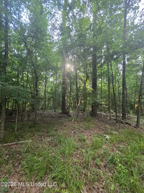 Enterprise Road, Roxie, MS 39661 photo 36