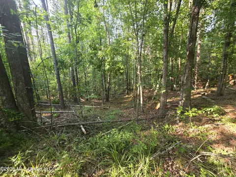 Enterprise Road, Roxie, MS 39661 photo 22