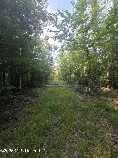 Enterprise Road, Roxie, MS 39661 photo 24