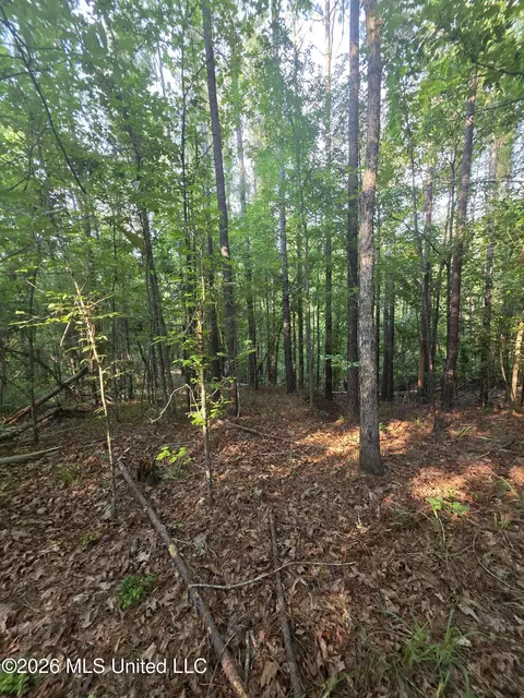 Enterprise Road, Roxie, MS 39661 photo 19