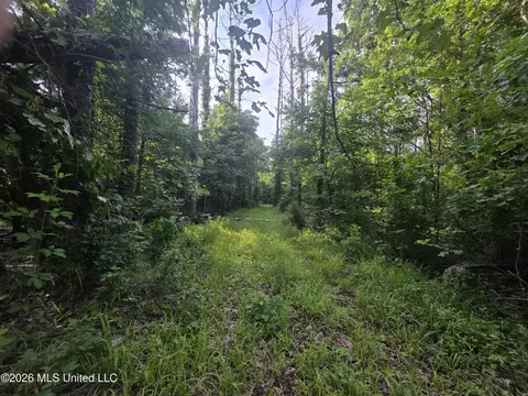 Enterprise Road, Roxie, MS 39661 photo 33