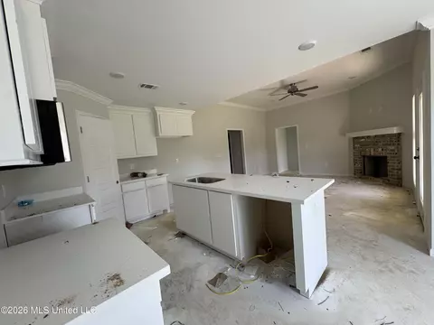 Other - 523 Stone Brook Pl, Brandon, MS 39042 photo 6 of 8