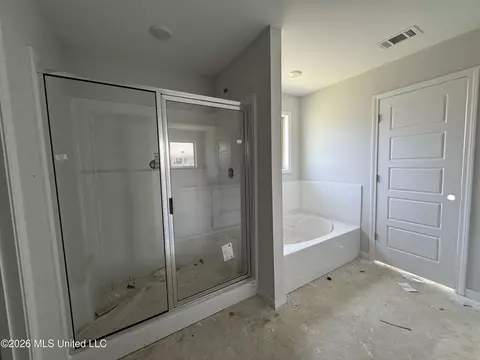 Other - 523 Stone Brook Pl, Brandon, MS 39042 photo 4 of 8