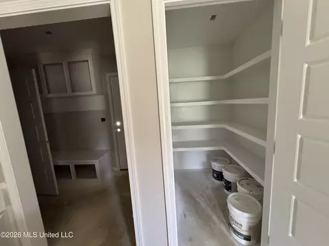 Entry Way - 525 Stone Brook Pl, Brandon, MS 39042 photo 2 of 5