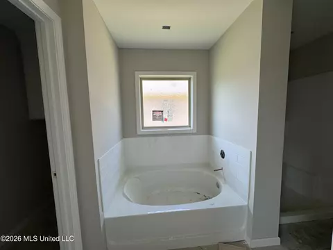 Bath - 525 Stone Brook Pl, Brandon, MS 39042 photo 1 of 1