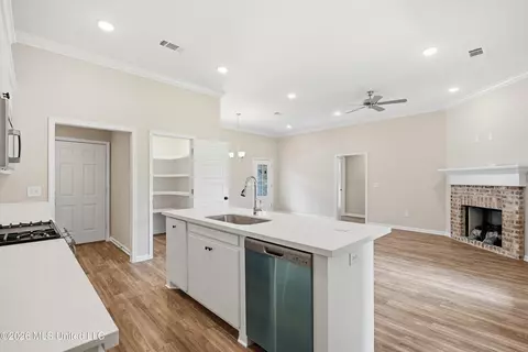 Other - 525 Stone Brook Pl, Brandon, MS 39042 photo 4 of 6