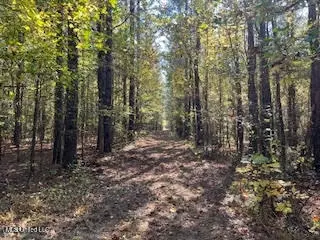 Perry Chapel Road, Ashland, MS 38603 photo 19
