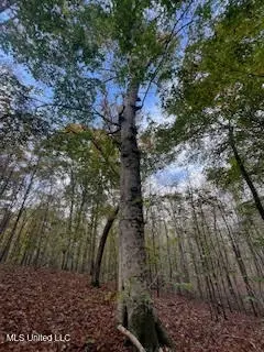 Perry Chapel Road, Ashland, MS 38603 photo 2