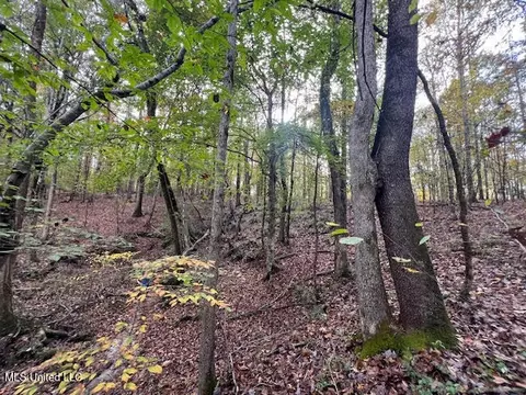 Perry Chapel Road, Ashland, MS 38603 photo 8