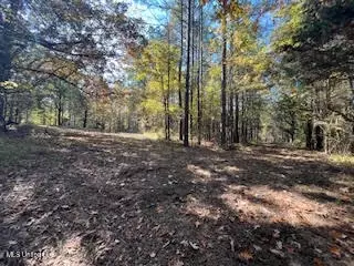 Perry Chapel Road, Ashland, MS 38603 photo 6