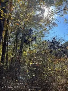 Perry Chapel Road, Ashland, MS 38603 photo 21