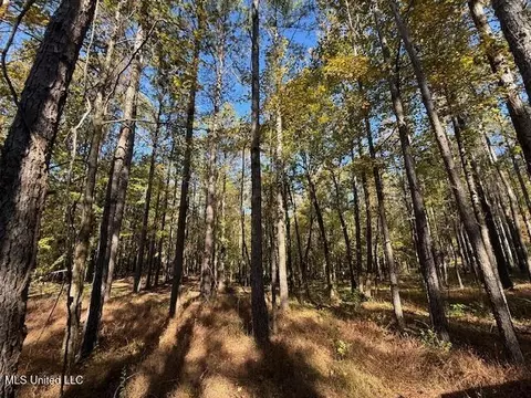 Perry Chapel Road, Ashland, MS 38603 photo 25
