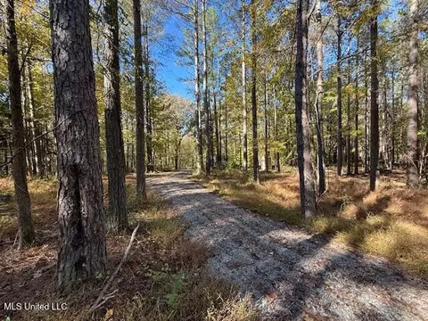 Perry Chapel Road, Ashland, MS 38603 photo 5