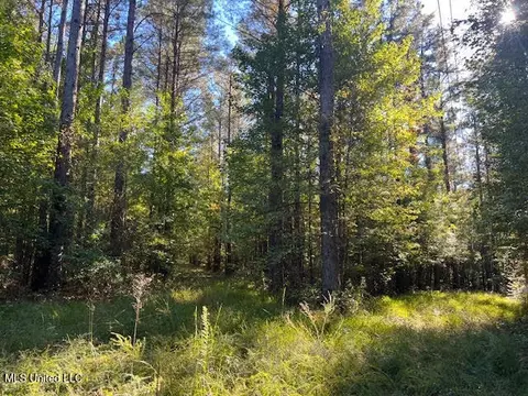Perry Chapel Road, Ashland, MS 38603 photo 15