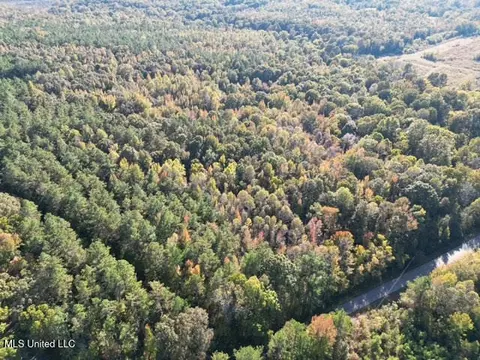 Perry Chapel Road, Ashland, MS 38603 photo 14