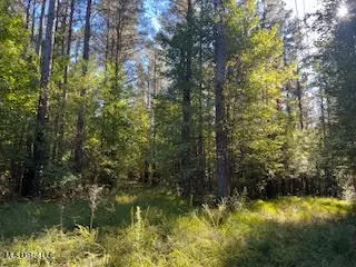 Perry Chapel Road, Ashland, MS 38603 photo 23