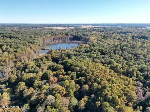 Perry Chapel Road, Ashland, MS 38603 photo 13