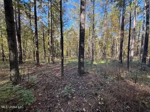 Perry Chapel Road, Ashland, MS 38603 photo 24