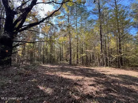Perry Chapel Road, Ashland, MS 38603 photo 9