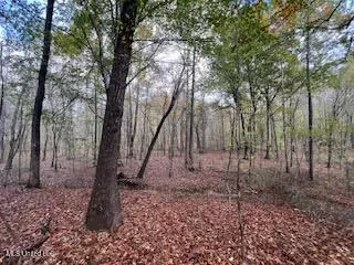 Perry Chapel Road, Ashland, MS 38603 photo 18