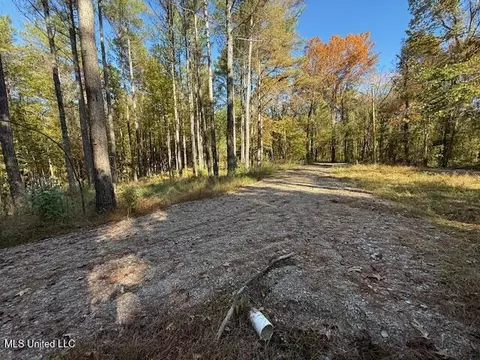 Perry Chapel Road, Ashland, MS 38603 photo 4