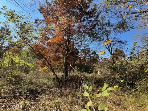 Perry Chapel Road, Ashland, MS 38603 photo 12