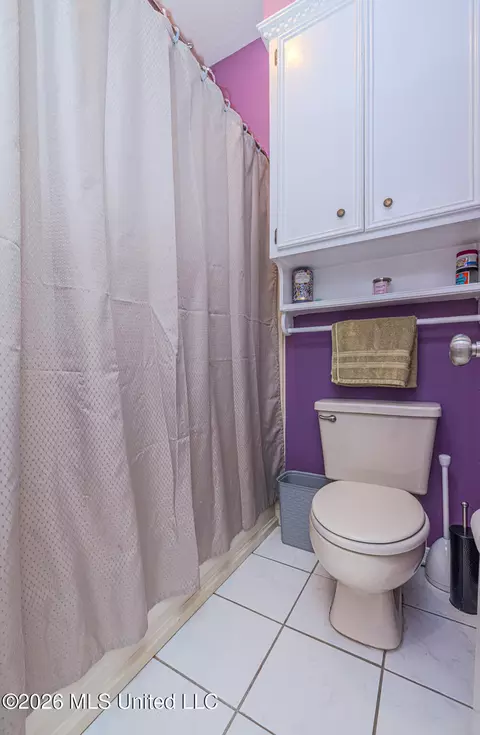 Bath - 548 Trace View Rd, Madison, MS 39110 photo 2 of 3