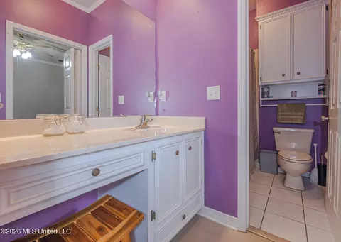 Bath - 548 Trace View Rd, Madison, MS 39110 photo 1 of 3