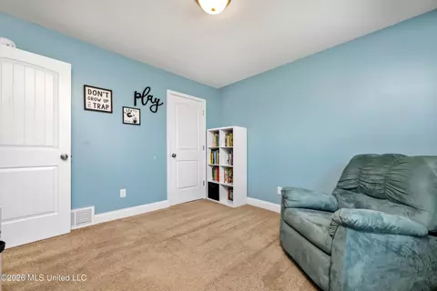 Other - 2126 Great Barrington Pl, Nesbit, MS 38651 photo 11 of 13