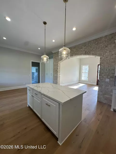 Kitchen - 540 Lavender Way, Canton, MS 39046 photo 4 of 4