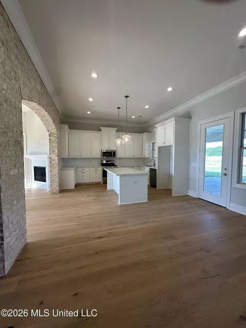 Kitchen - 540 Lavender Way, Canton, MS 39046 photo 1 of 4