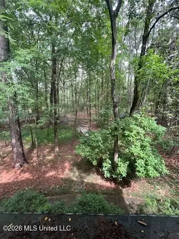 Other - 113 Campfire Cir, Brandon, MS 39047 photo 8 of 11