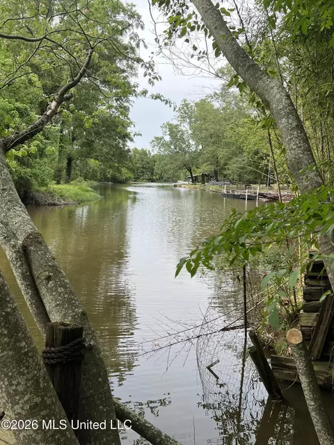 View/Area - 113 Campfire Cir, Brandon, MS 39047 photo 3 of 3