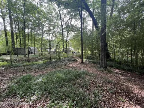 Exterior - 113 Campfire Cir, Brandon, MS 39047 photo 9 of 13
